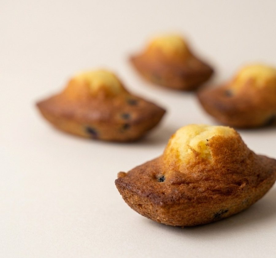 Madeleine Pépite Chocolat